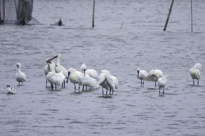 Water Bird Family Διαμέρισμα Toucheng Εξωτερικό φωτογραφία